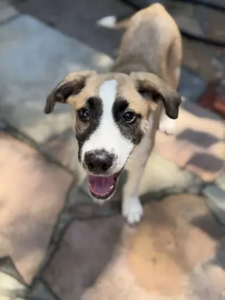 Jack