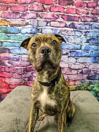 Floyd