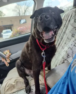 Zeus