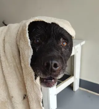 Zeus