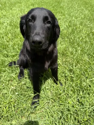 Stanley