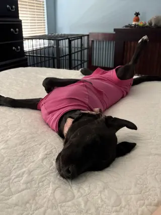 Delilah