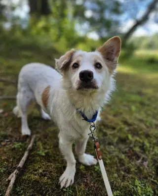 Max