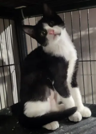 Tammi (Bonded with Sunshine)