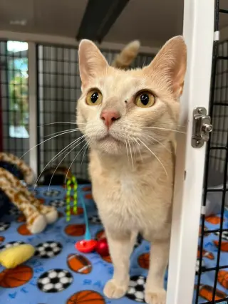 Josephine- retired momma