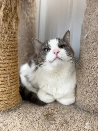Natasha- WAIVED FEE- long term