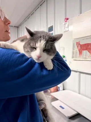 Natasha- WAIVED FEE- long term