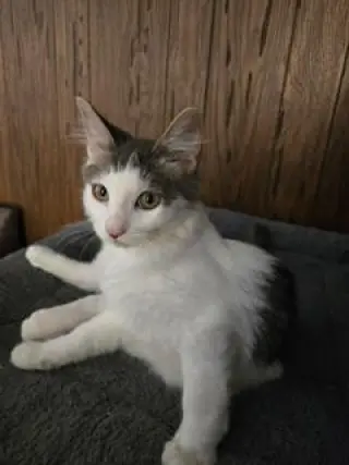 Theodore