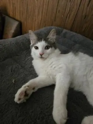 Theodore