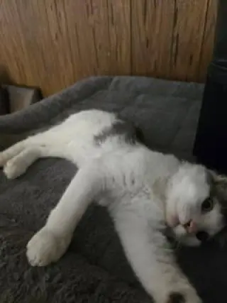 Theodore