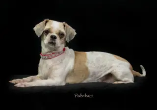 Patches