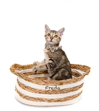 Freda