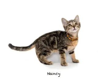Nancy