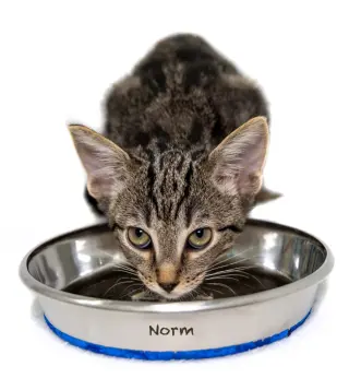 Norm