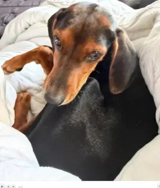 Miss Minnie