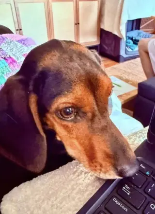 Miss Minnie