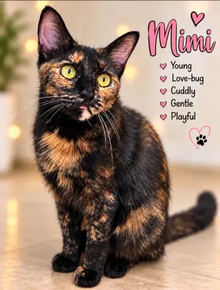 Mimi (FCID# 08/18/2026 - 109) Willow Grove