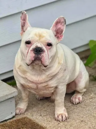 Oliver