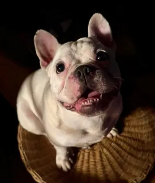 Oliver