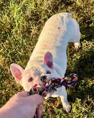Oliver