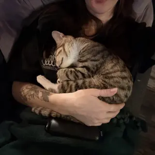 Muffins (bonded to Tortilla)