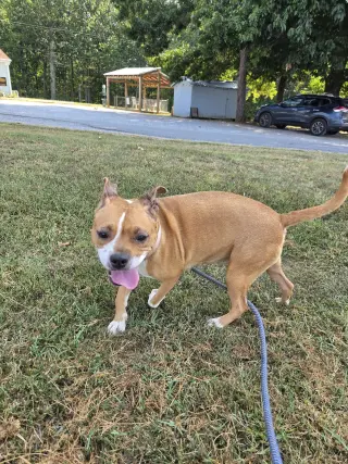 Miracle - At shelter