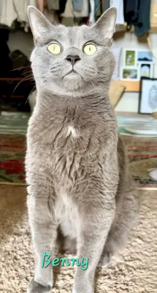 Benny