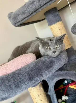Benny