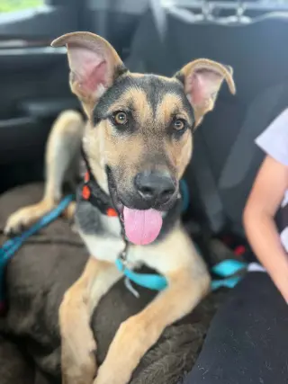 Benny