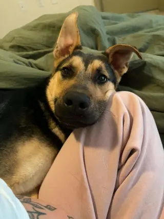 Benny