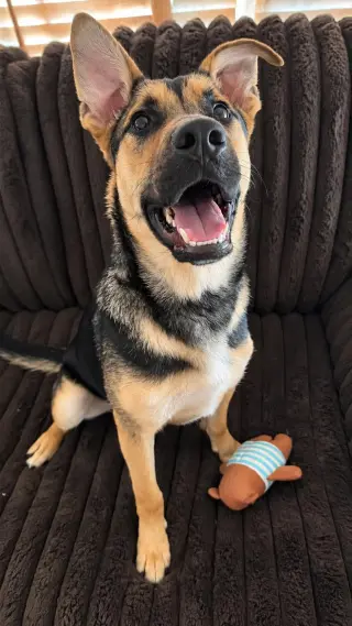 Benny