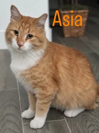 Asia