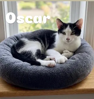 Oscar
