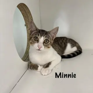 Minnie