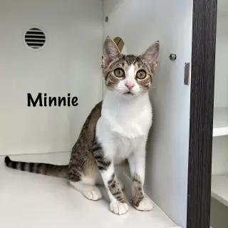 Minnie