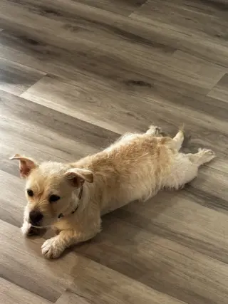 Millie