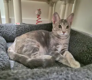 Felicity