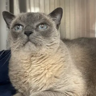 Marilyn