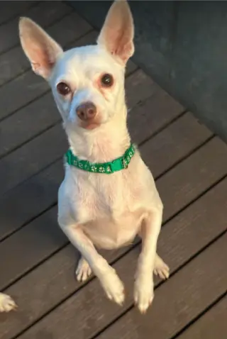 Cooper in TX