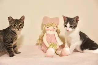 Mary Paige (& Milo)