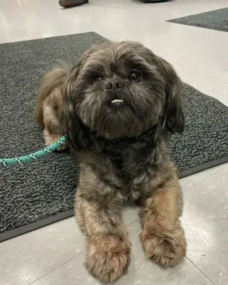 Gary