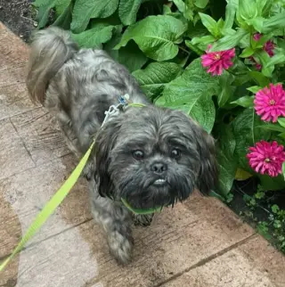 Gary