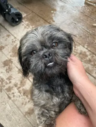 Gary