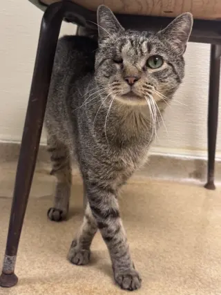 Leroy