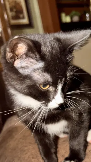 Charlie