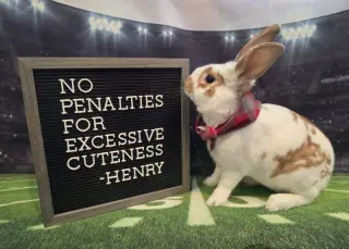 Henry