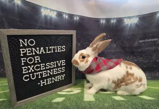 Henry