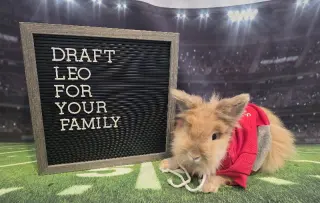 Leo