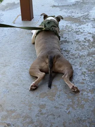 Oakley