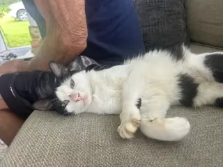 Bucky Napa